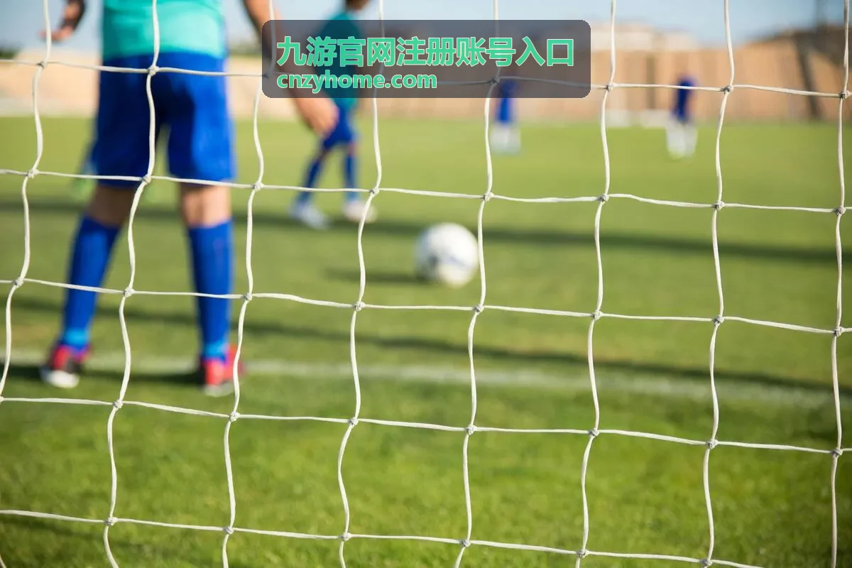 九游官网注册账号入口新手礼包领取示意